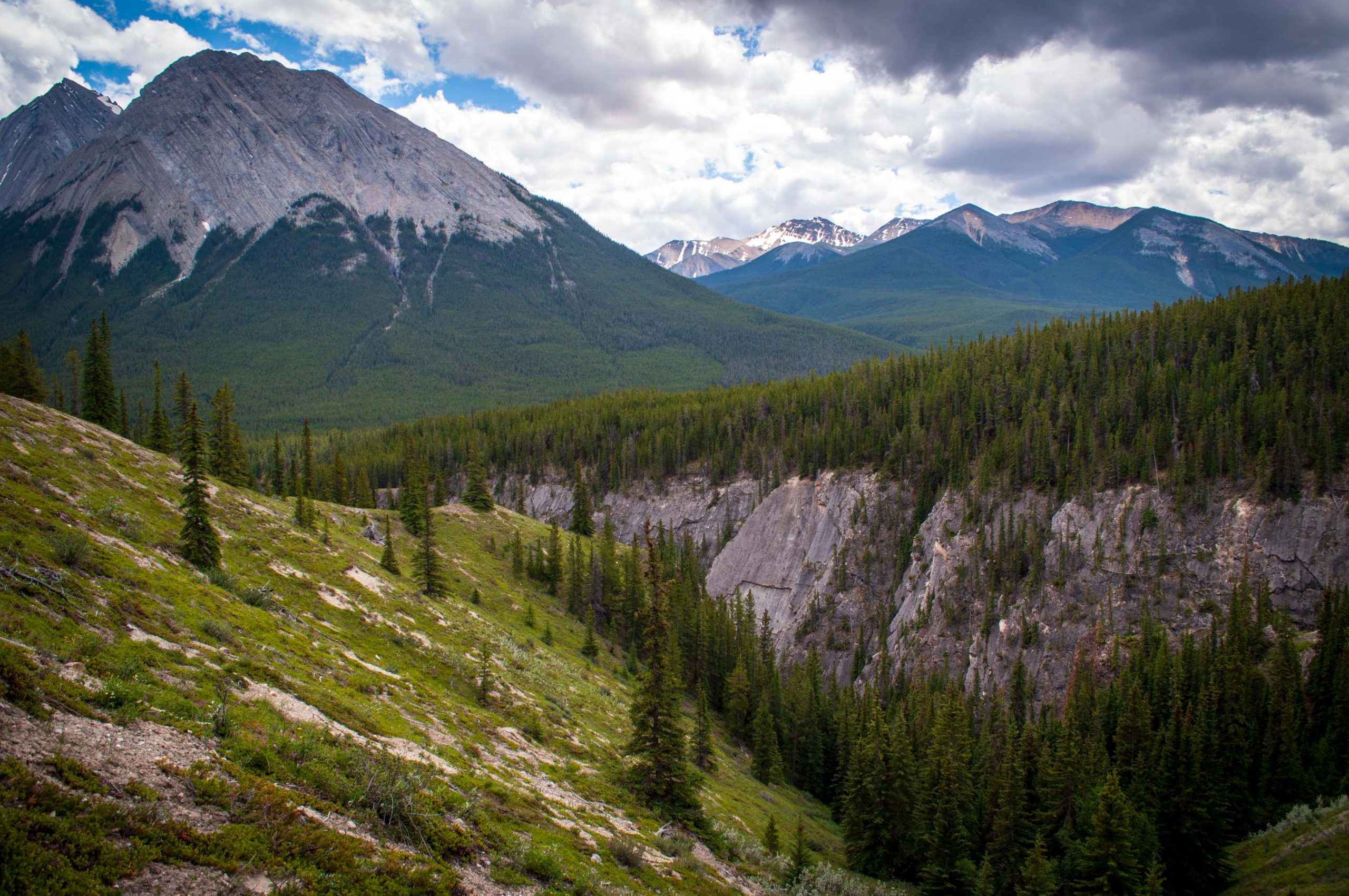 Coral Creek Canyon Trail Guide