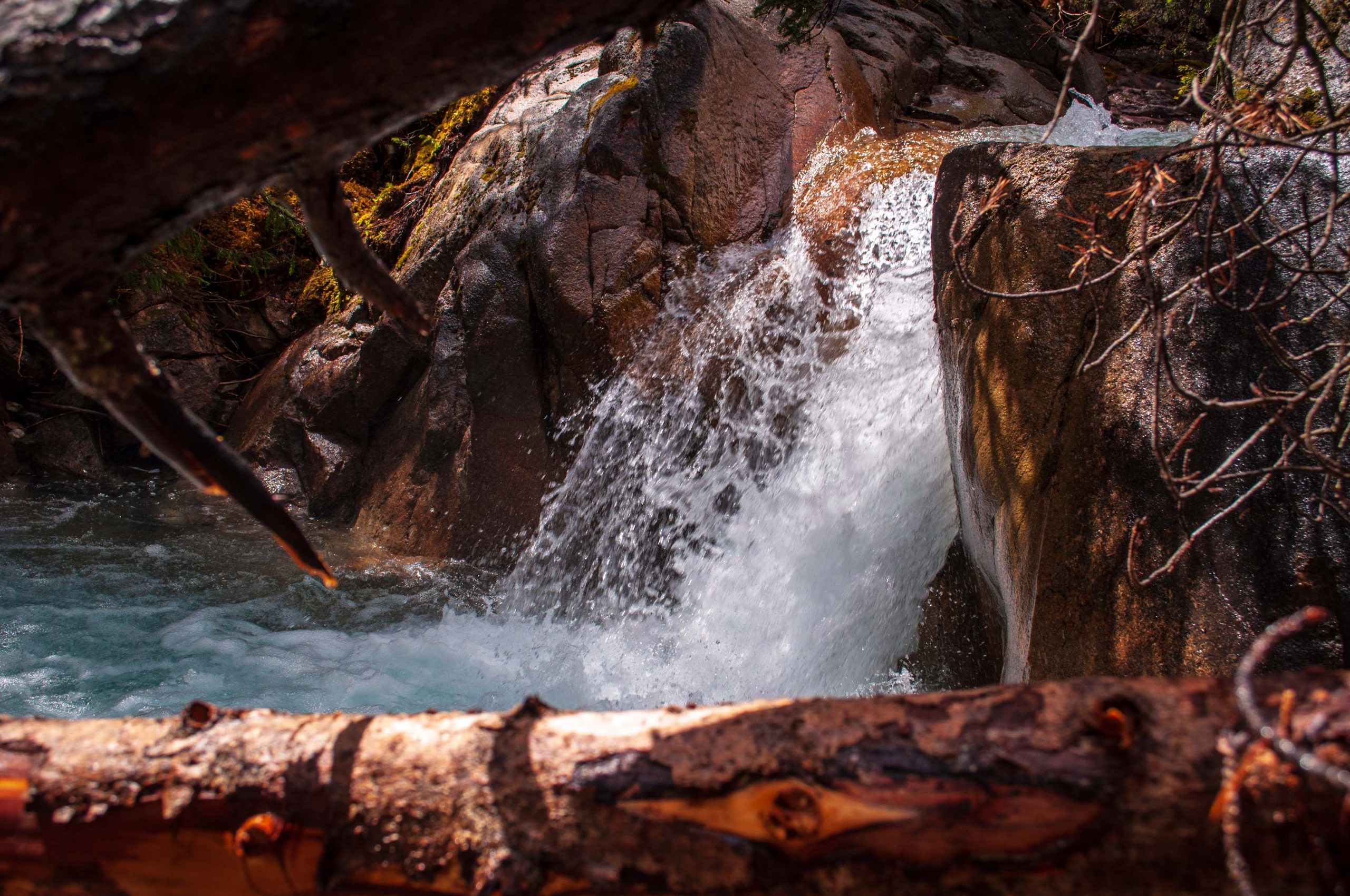 Thompson Creek Lower Falls Trail Guide