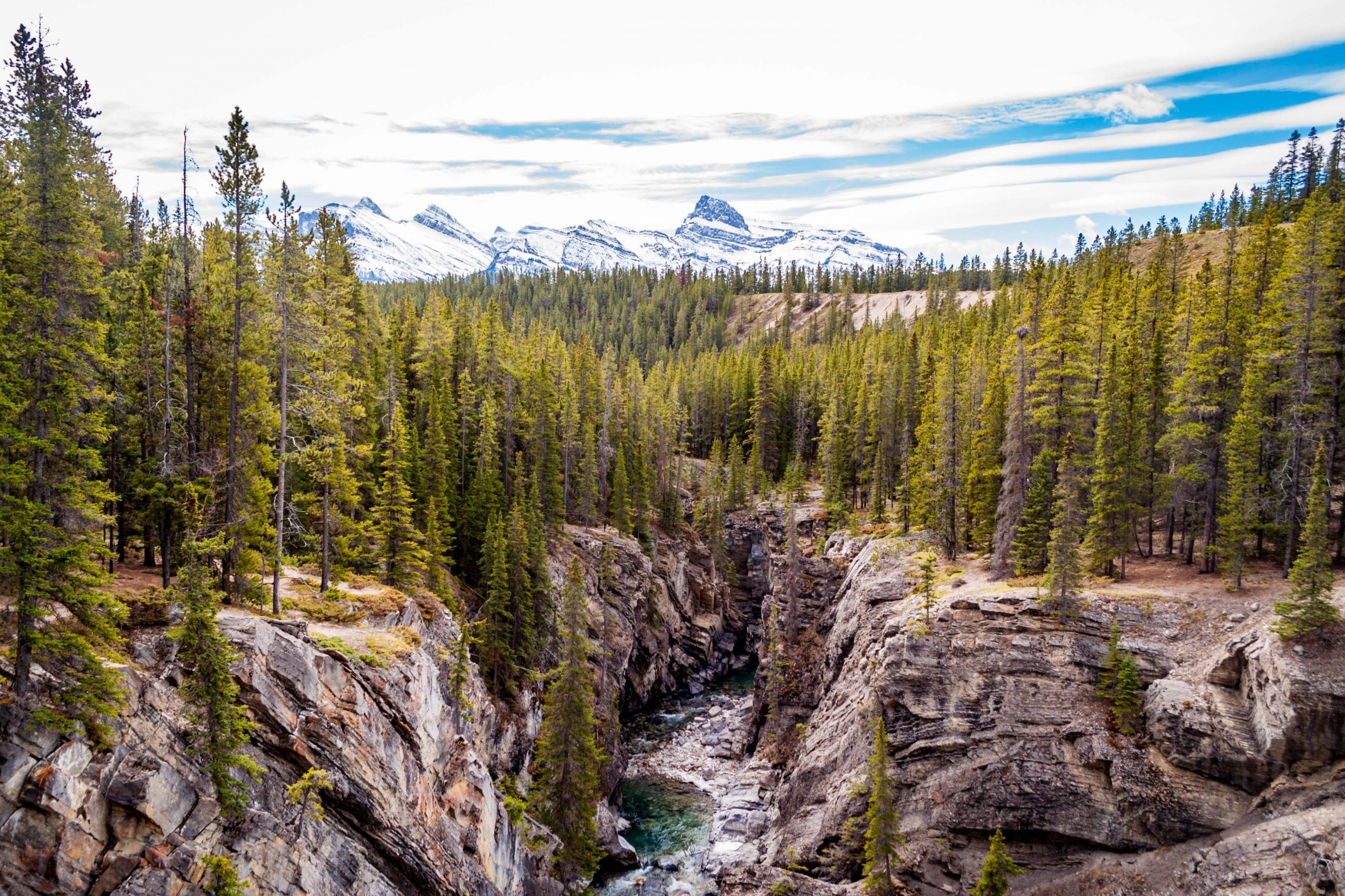 Siffleur Falls Trail Guide