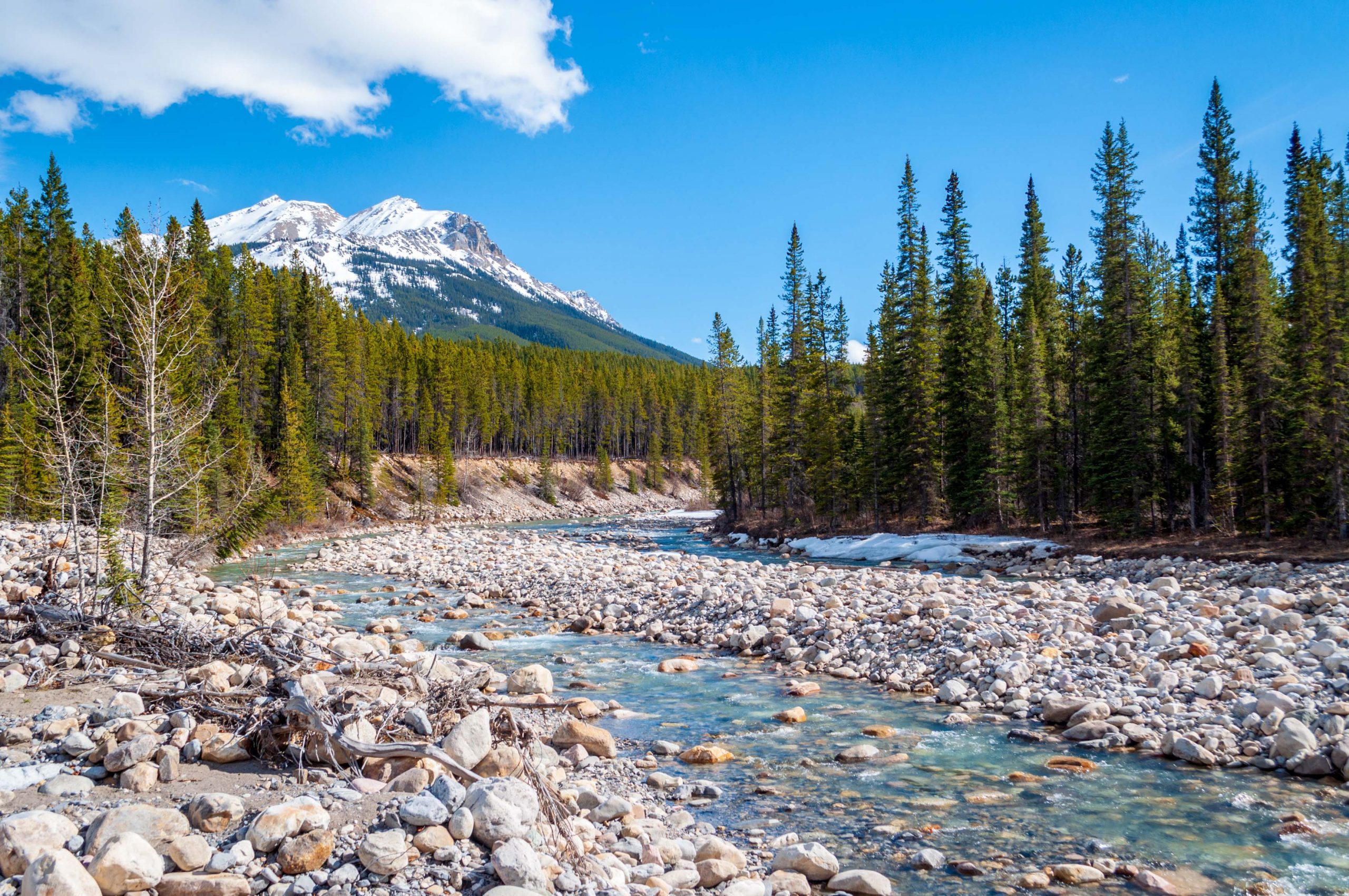 Siffleur River – Third Falls and Wilderness Area Access