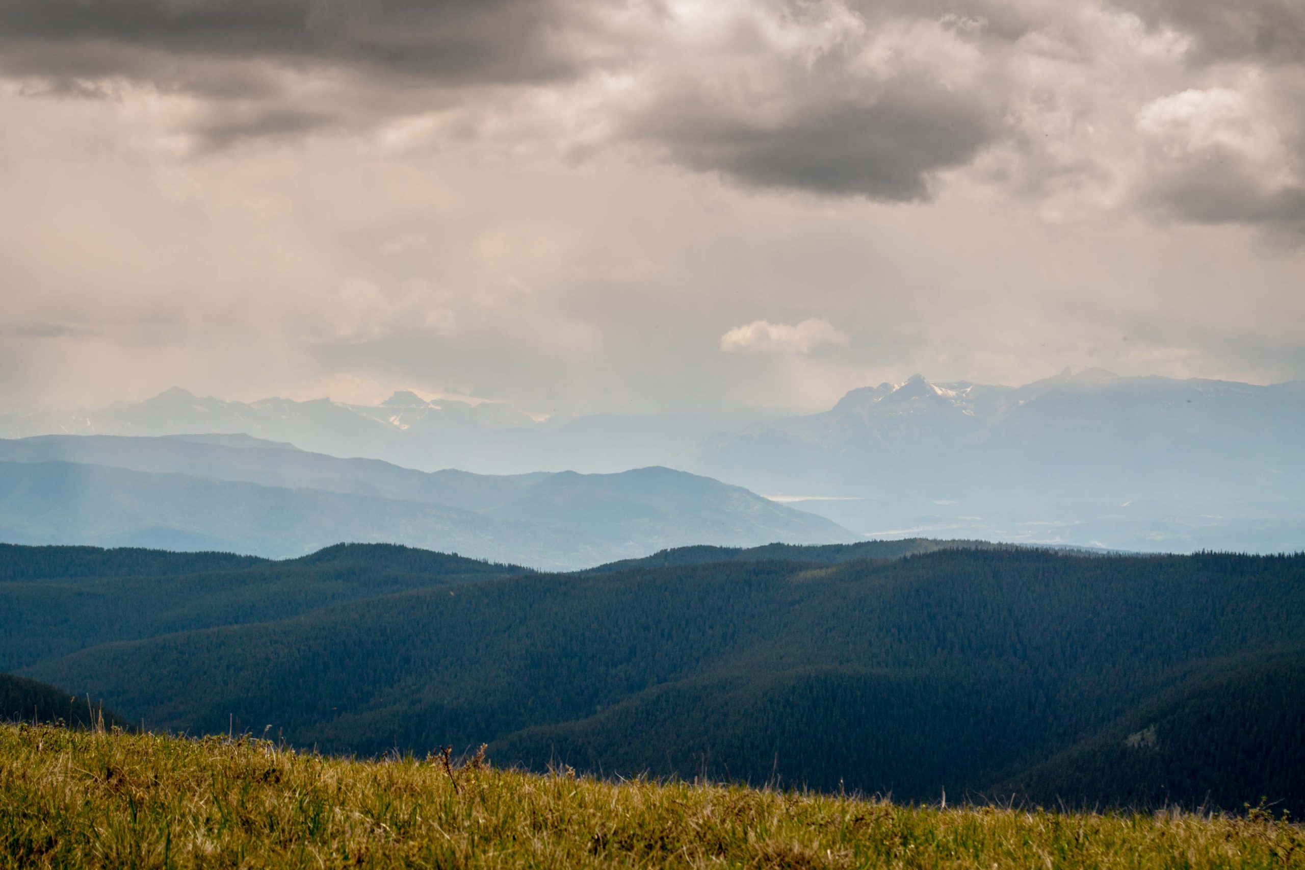 Eagle Mountain Ridge Trail Guide