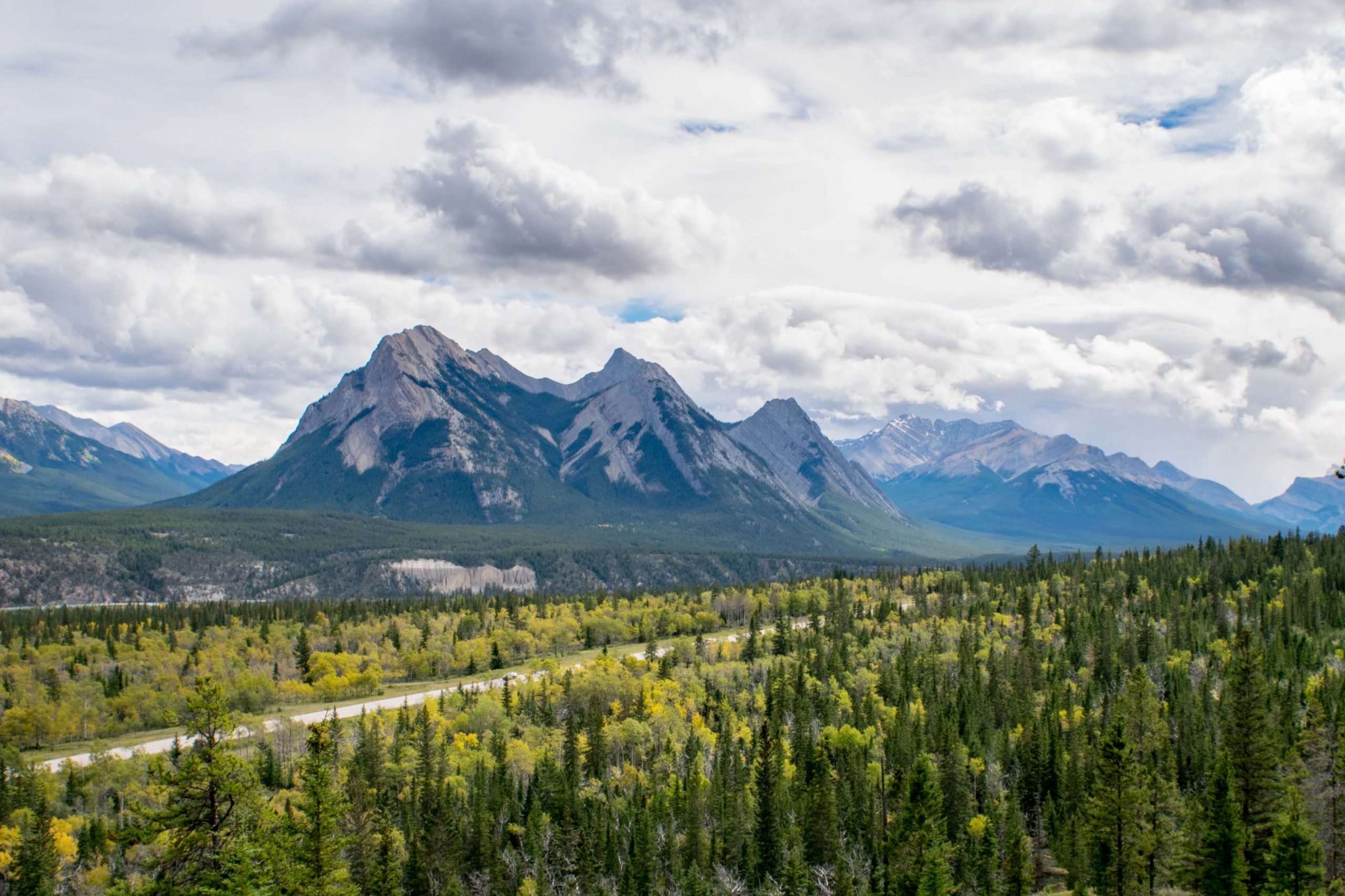 Flag Hill Trail Guide