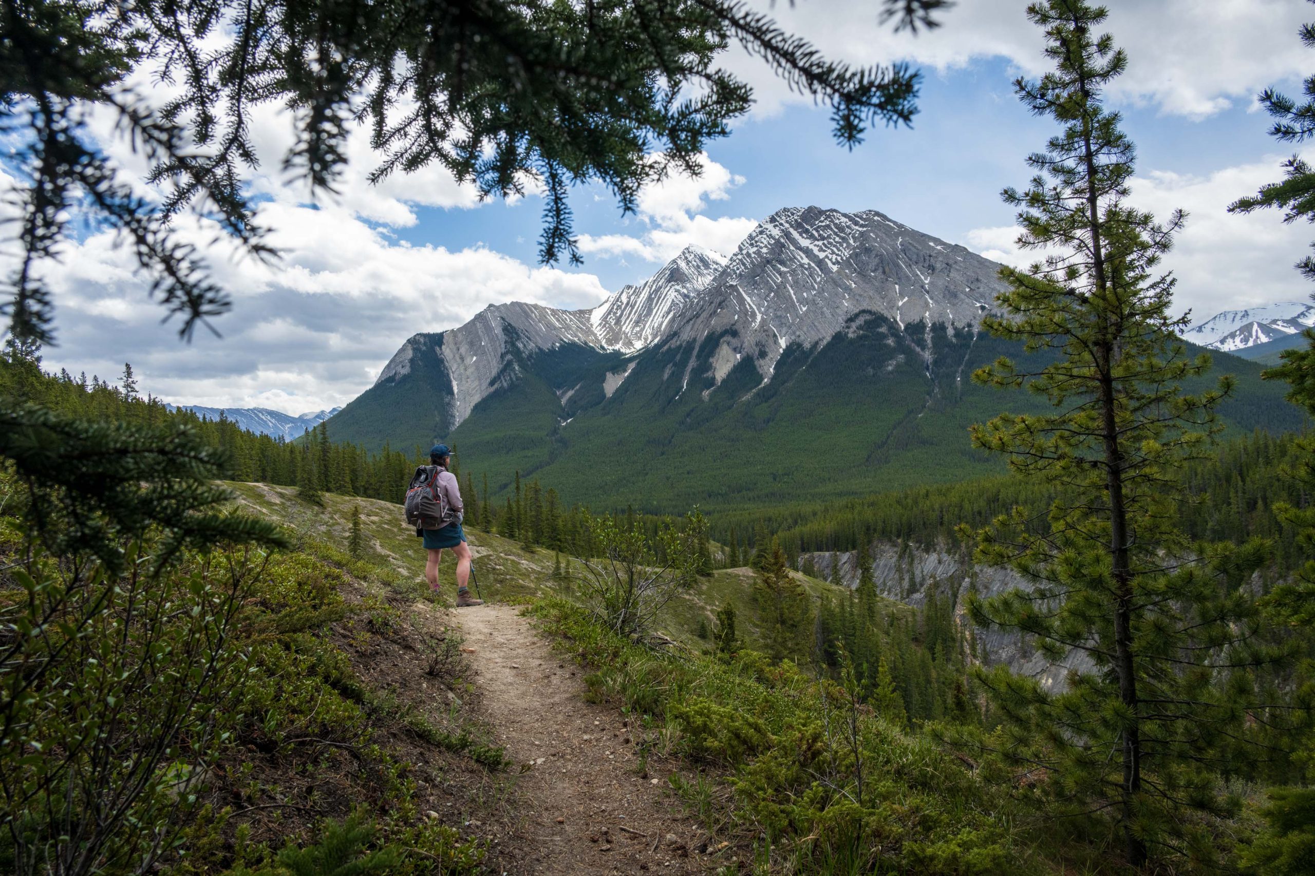 Hiker along the Coral Creek Canyon trail near Abraham Lake.