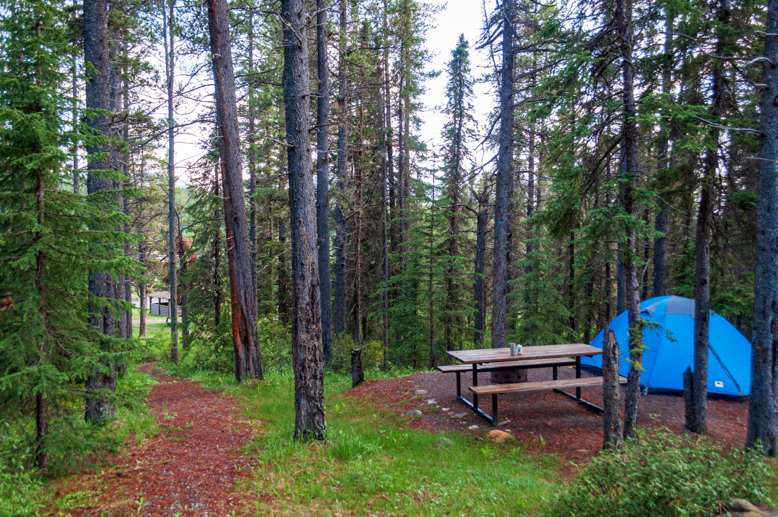 Harlech Campground