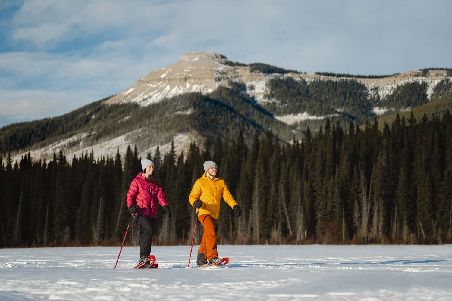 Snowshoes & Winter Hikes